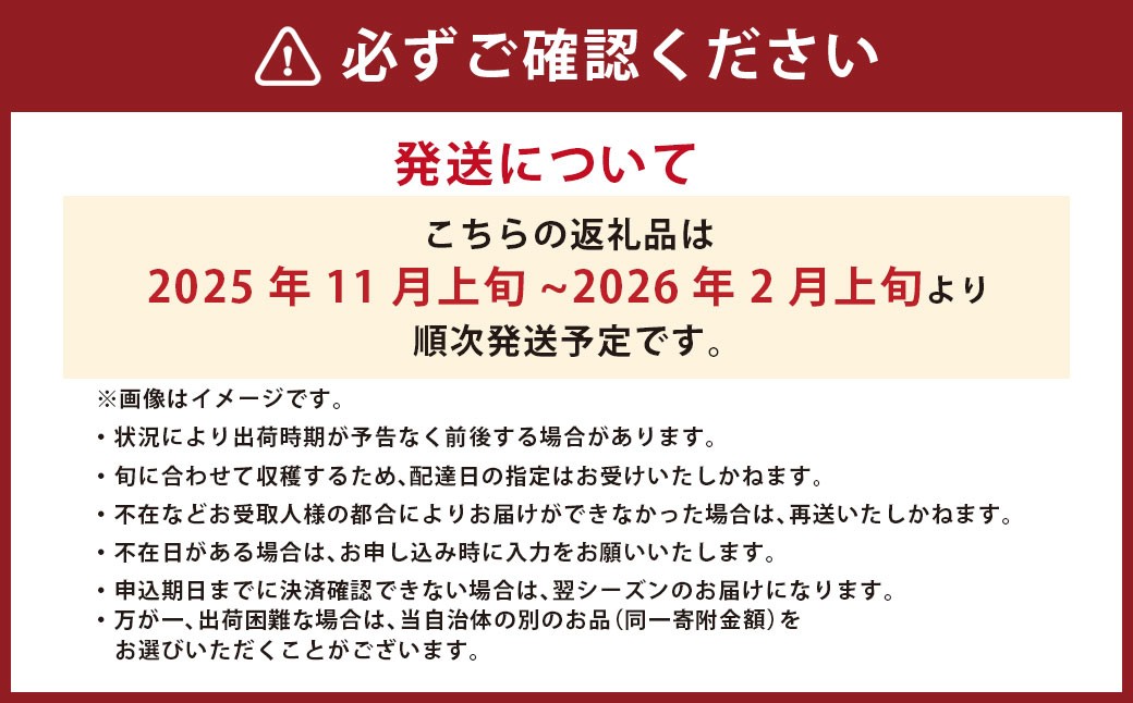 最高級 五つ星 至高のフルーツトマト pomodia ポモディア 約1.2kg（24～35個）