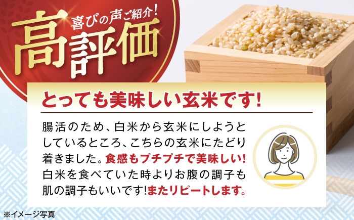 【選べる容量】 滋賀県湖北産 湖北のコシヒカリ 5・10・20・30kg(玄米)　米 お米 ご飯 ごはん ゴハン