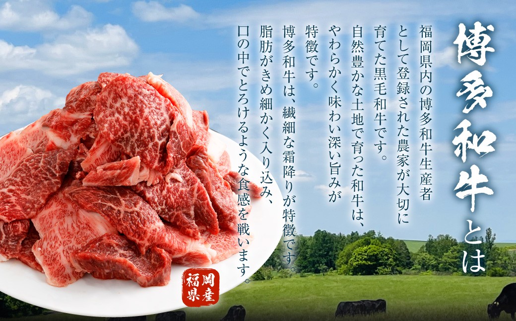 博多和牛 焼肉 切落し ミックス