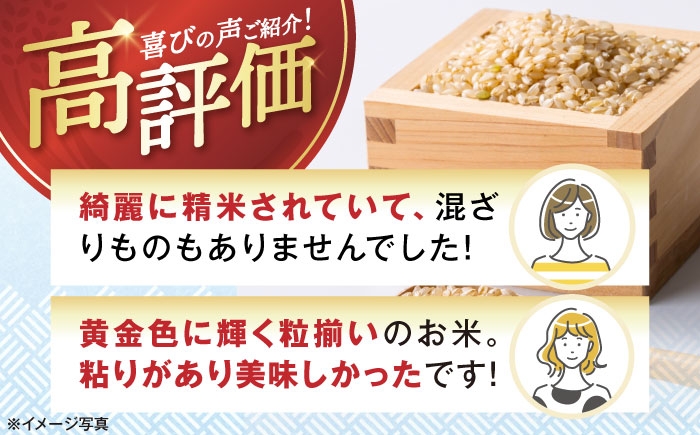 【選べる容量】 滋賀県湖北産 湖北のミルキークイーン 5・10・20・30kg (玄米)　米 お米 ご飯 ごはん ゴハン