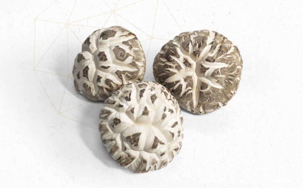 山の宝石 花どんこ 乾しいたけ（約60g［約10g×6個］）FHH28