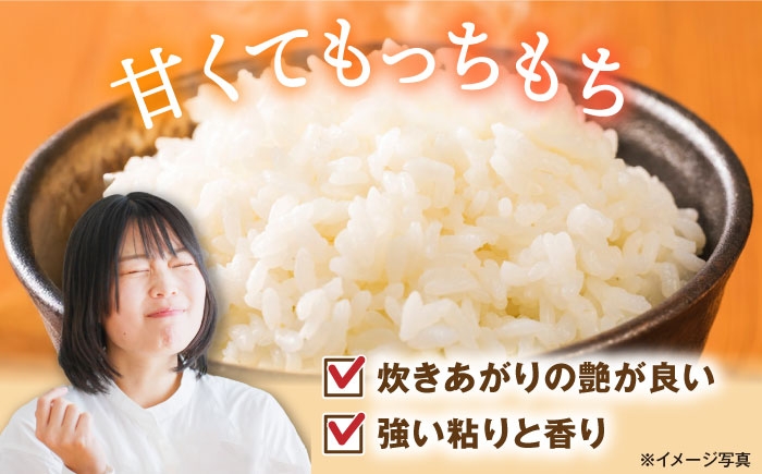 【選べる容量】 滋賀県湖北産 湖北のコシヒカリ 4.5・9.0・18・27kg(白米)　米 お米 ご飯 ごはん ゴハン