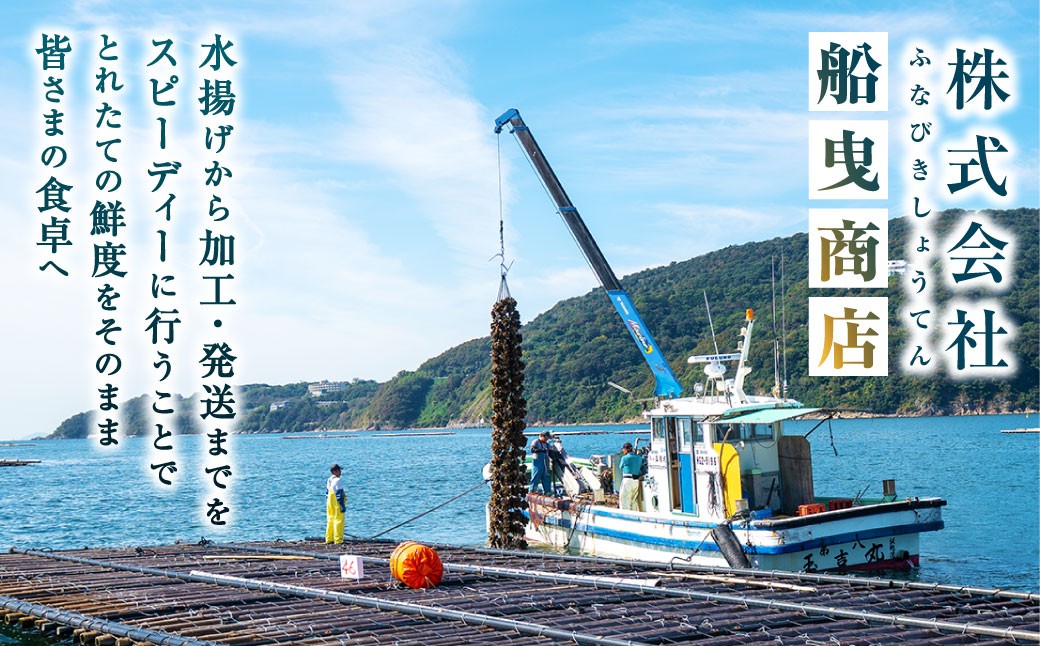 赤穂市産干えび（むき）100g×2袋