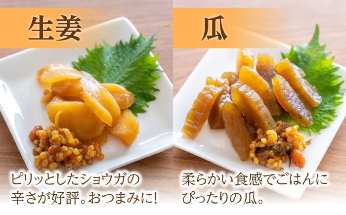 ナス お漬物 漬け物 キュウリ  こうじ きゅうり 大根 生姜 もろみ ご飯のお供  お中元 お歳暮 敬老の日 贈答 ギフト