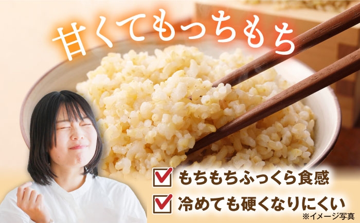 【選べる容量】 滋賀県湖北産 湖北のミルキークイーン 5・10・20・30kg (玄米)　米 お米 ご飯 ごはん ゴハン