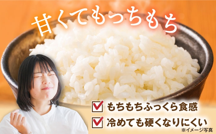 【選べる容量】 滋賀県湖北産 湖北のミルキークイーン 4.5・9.0・18・27kg(白米)　米 お米 ご飯 ごはん ゴハン