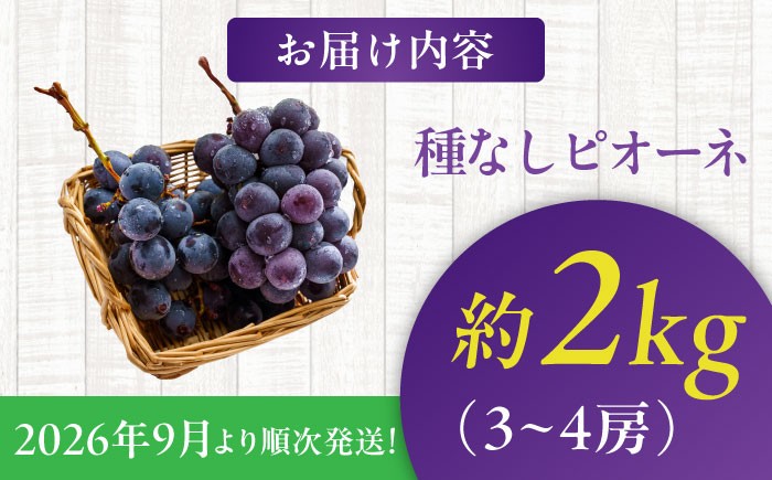 ぶどう ブドウ ぴおーね ピオーネ 葡萄 フルーツ 果物 大粒 種なし くだもの 