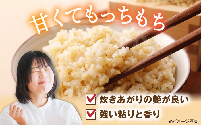  滋賀県湖北産 湖北のコシヒカリ 30kg(玄米)　米 お米 ご飯 ごはん ゴハン おにぎり 炊き込みご飯 人気 おすすめ