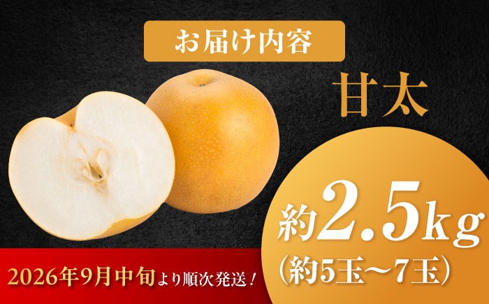 梨 なし ナシ 国産 甘太 かんた カンタ 果物 くだもの 果汁 フルーツ 旬 甘い 食感