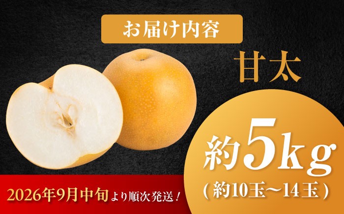 梨 なし ナシ 国産 甘太 かんた カンタ 果物 くだもの 果汁 フルーツ 旬 甘い 食感
