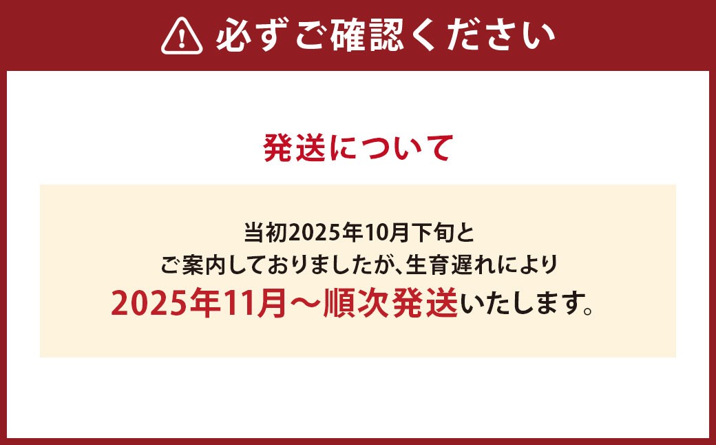 高級 三つ星 至高のフルーツトマト pomodia ポモディア 約1.2kg（24～35個）