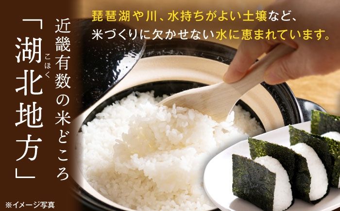 【選べる容量】 滋賀県湖北産 湖北のミルキークイーン 4.5・9.0・18・27kg(白米)　米 お米 ご飯 ごはん ゴハン