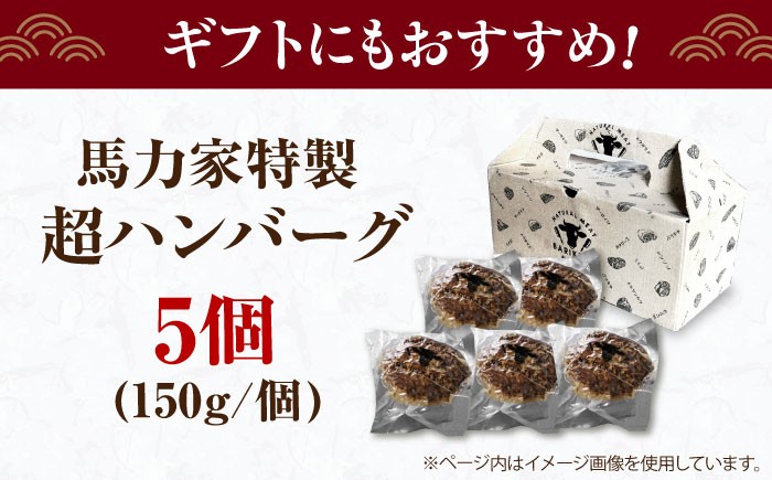 ハンバーグ 冷凍  温めるだけ 小分け 簡単調理 離乳食 湯煎肉 牛肉 ハンバーグ おすすめ 飛騨牛 冷凍 ハンバーグ 湯煎