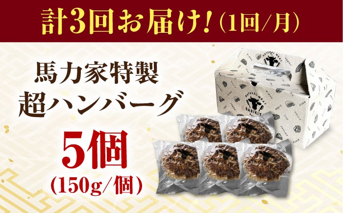 ハンバーグ 冷凍  温めるだけ 小分け 簡単調理 離乳食 湯煎肉 牛肉 ハンバーグ おすすめ 飛騨牛 冷凍 ハンバーグ 湯煎 