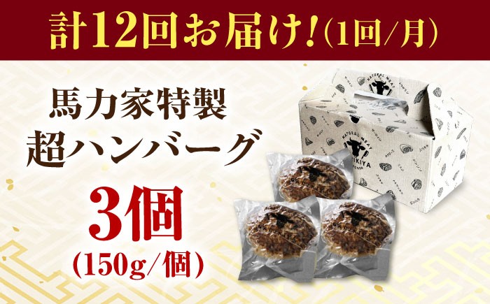 ハンバーグ 冷凍  温めるだけ 小分け 簡単調理 離乳食 湯煎肉 牛肉 ハンバーグ おすすめ 飛騨牛 冷凍 ハンバーグ 湯煎