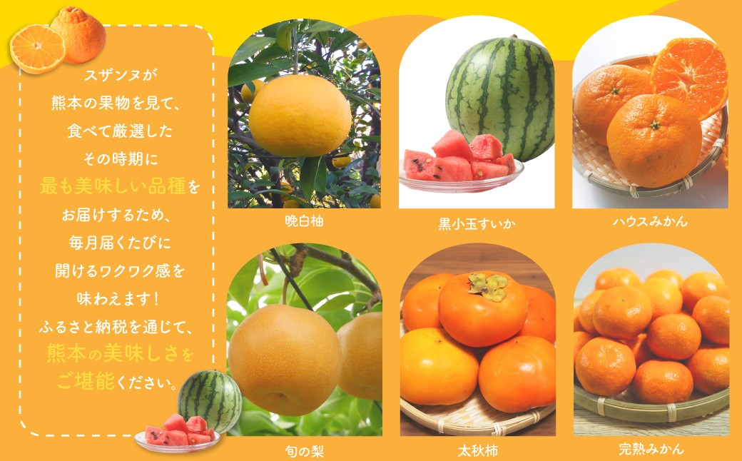 【3か月連続定期便】スザンヌが選ぶ熊本ギフト 果物定期便3ヶ月