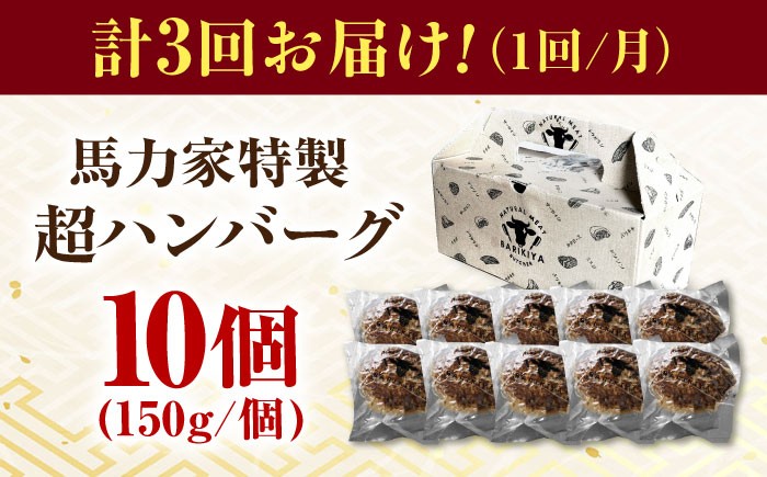 ハンバーグ 冷凍  温めるだけ 小分け 簡単調理 離乳食 湯煎肉 牛肉 ハンバーグ おすすめ 飛騨牛 冷凍 ハンバーグ 湯煎 
