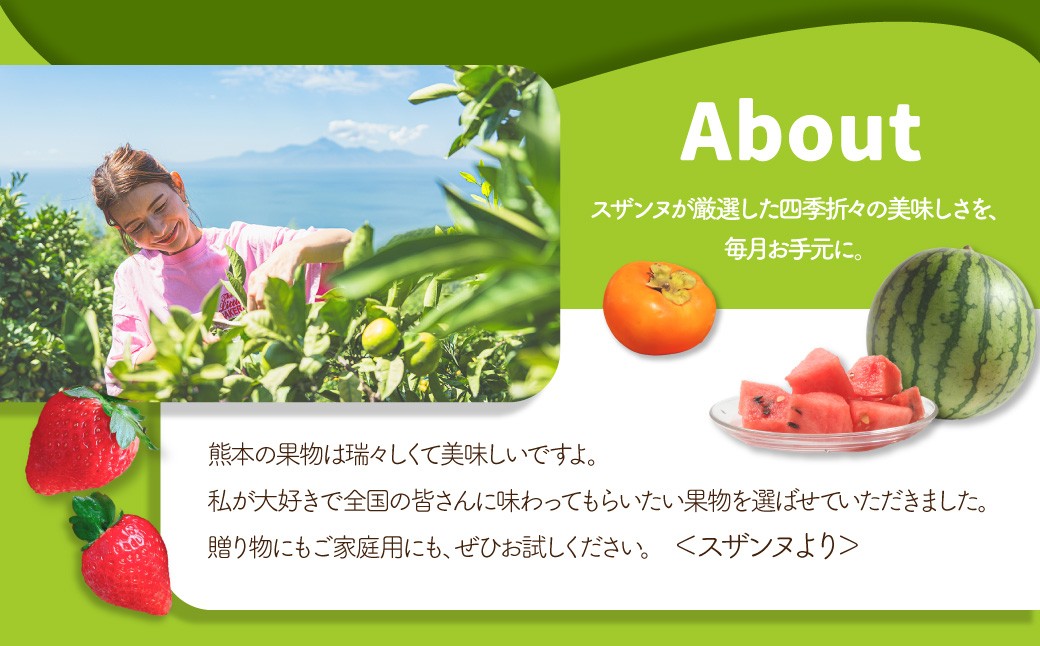 【3か月連続定期便】スザンヌが選ぶ熊本ギフト 果物定期便3ヶ月