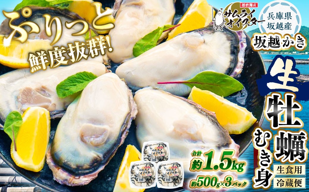 坂越かき むき身 約500g×3パック