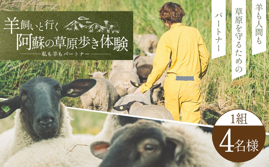 【体験期間6月1日-9月30日】羊飼いと行く阿蘇の草原歩き体験「私も羊もパートナー」4名様1組