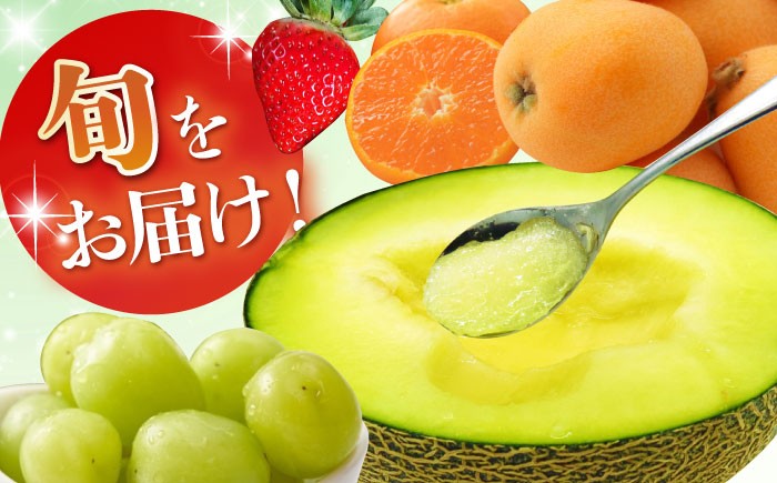 フルーツ いちご ビワ メロン シャインマスカット 旬 新鮮 セット 長崎 人気 国産 特産 取り寄せ 定期便 