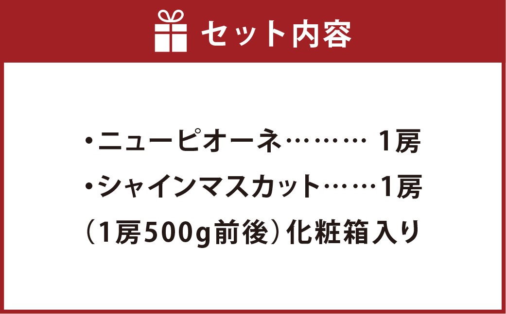ニューピオーネ1房・シャインマスカット1房