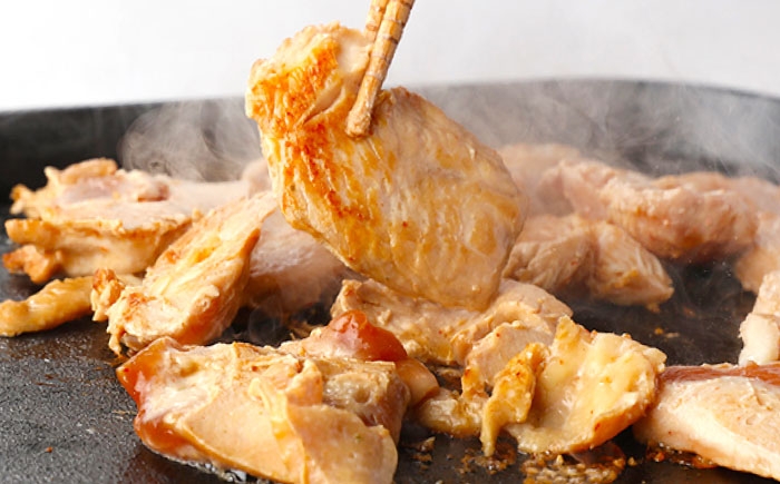 恵那鶏 からあげ 唐揚げ 焼き鳥 鶏肉 とり肉 国産 郷土料理 お惣菜 味付き おかず ご当地 特産品 名産品 ご当地グルメ