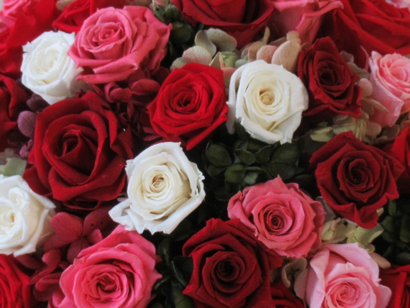 ※画像はプリザーブドフラワーローズ（レッド）ですのでご注意ください。