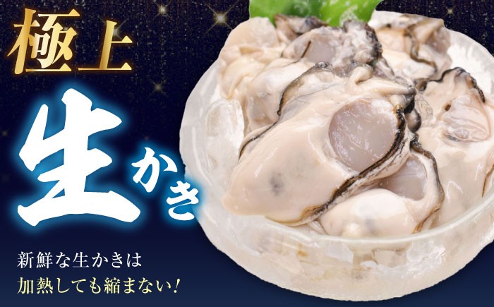 牡蠣 生食 むき身 殻付き かき カキ 生牡蠣 広島牡蠣 オイスター カキフライ 魚介類 貝類 海鮮 広島県産 国産 産地直送