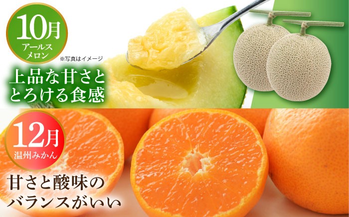 フルーツ いちご ビワ メロン シャインマスカット 旬 新鮮 セット 長崎 人気 国産 特産 取り寄せ 定期便 