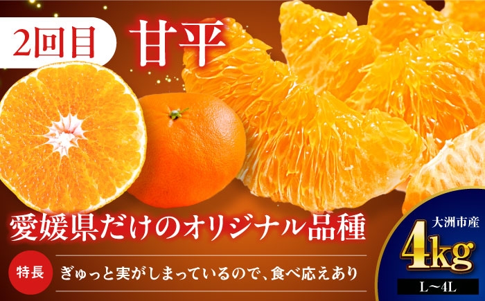 フルーツ定期便 果物定期便 かんぺい カンペイ 柑橘 果物 みかん フルーツ ミカン 果物 苺 イチゴ いちご 愛媛みかん