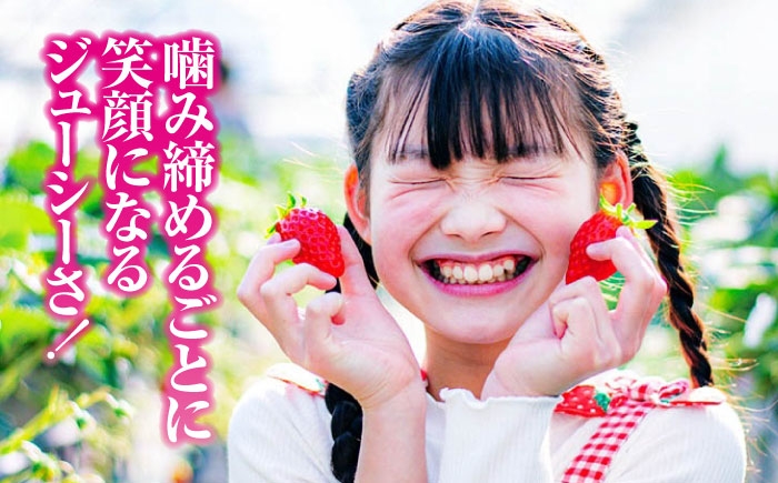 果物 くだもの フルーツ 野菜 やさい いちご イチゴ 苺 ストロベリー 大粒 大容量 甘い ジャム ケーキ タルト アレンジ
