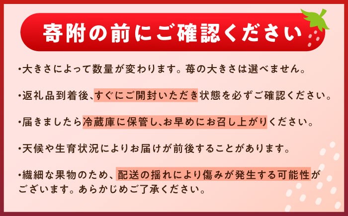 いちご イチゴ 苺 フルーツ 果物 完熟 完熟いちご 贈答用 産地直送 新鮮 贈答 ギフト おすすめ 人気 岐阜県 恵那市