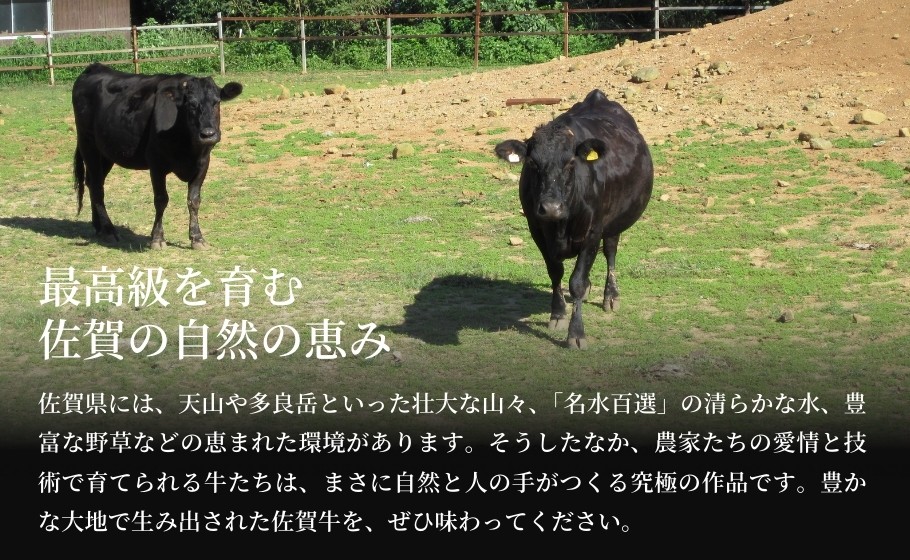 最高級を育む佐賀の自然