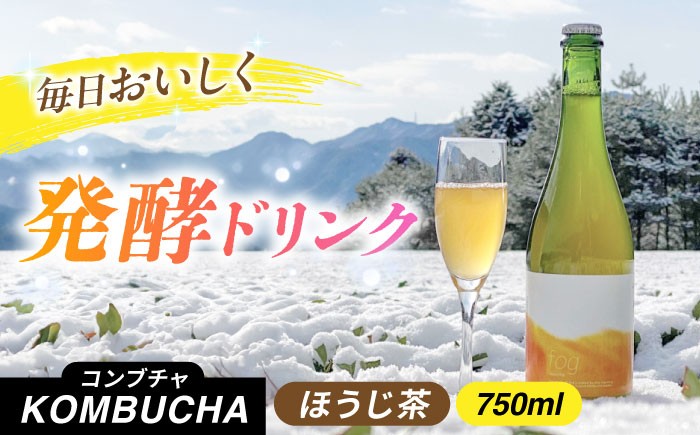 ほうじ茶コンブチャ fog-hojicha オリジナルコンブチャ お茶 発酵飲料 腸活 白川町