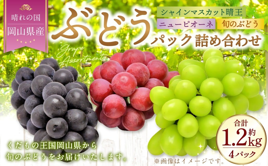 岡山県産 ぶどうパック詰合せ ※3種4パックセット （ ニューピオーネ ・ シャインマスカット ・ 旬のぶどう ）