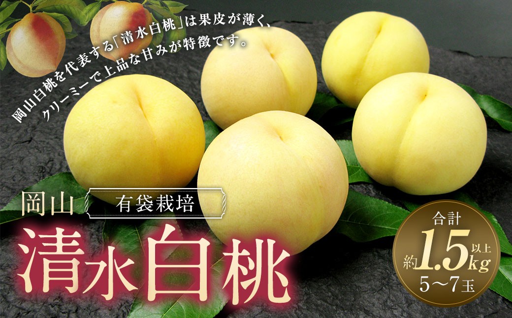 岡山 清水 白桃 5～7玉（合計1.5kg以上）