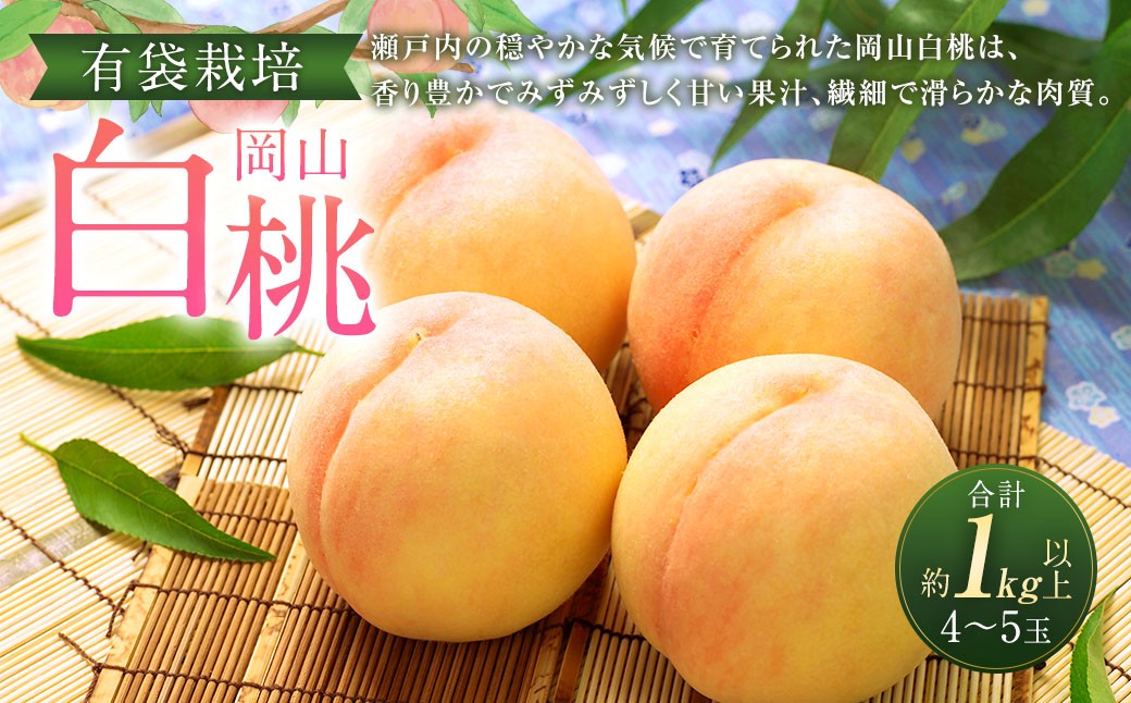 岡山 白桃 4～5玉（合計1.0kg以上）