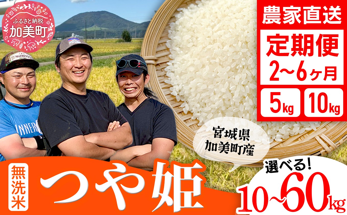 【無洗米】【選べる配送回数】 米 宮城県産 つや姫 5kg 10kg 定期便 令和7年産 新米 結心ファーム 宮城県 加美町