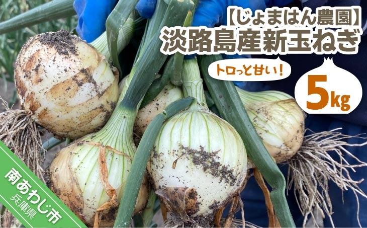 トロっと甘い！！淡路島産新玉ねぎ5㎏