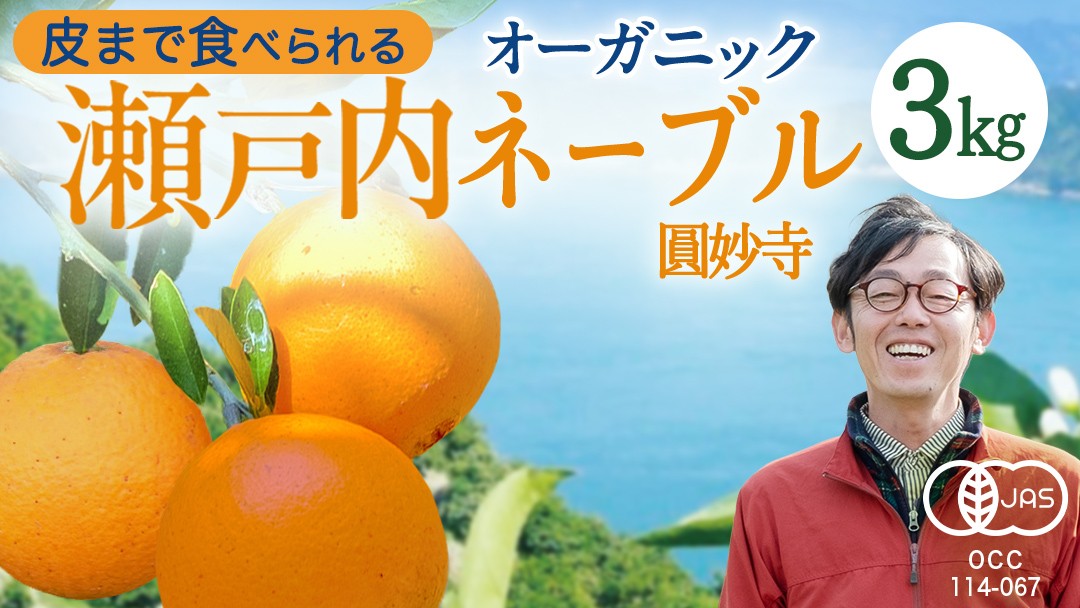 大崎上島産 有機JAS認証！オーガニック圓妙寺ネーブル 約4㎏