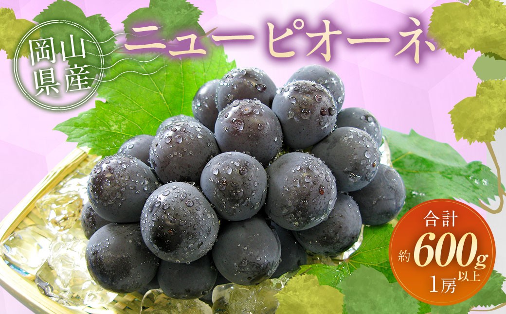 ぶどう 2026年 先行予約 ニュー ピオーネ 1房 600g以上