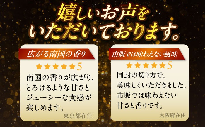 【 先行予約 2026年発送 】【訳あり】仲村農園の完熟アップルマンゴー 2kg マンゴー 2026 訳あり 沖縄 マンゴー 