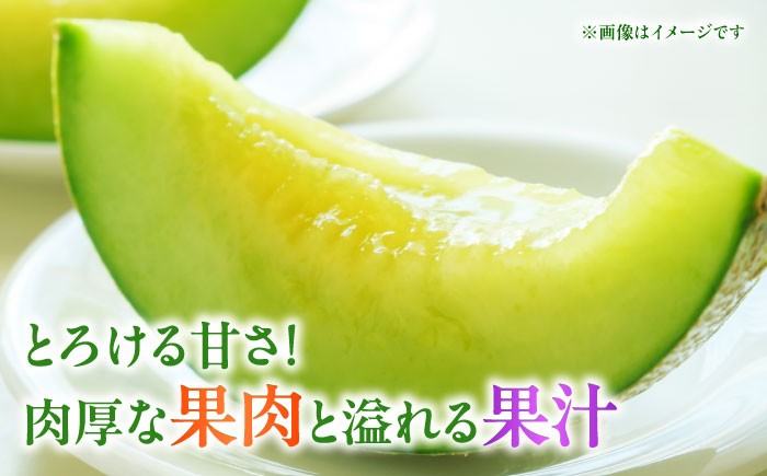 メロン 2玉 くだもの ブランド 人気 鮮度 高級 甘い 大きい 産地直送 おすすめ 高評価 リピーター 新鮮 熊本 山鹿市