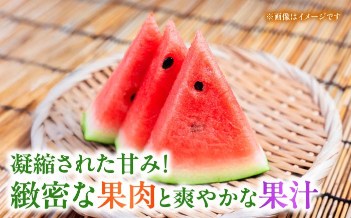 小玉 すいか 2玉 スイカ 西瓜 くだもの 人気 季節物 新鮮 産地直送 糖度 高品質 特産 種類 山鹿市 くまもと 熊本県産