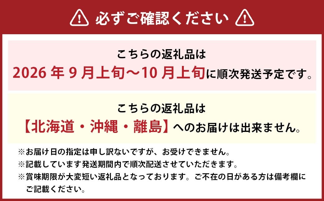 ぼっけえ大粒ニューピオーネ1房（800g以上）化粧箱入り