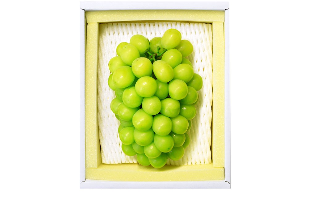 シャインマスカット晴王 1房（700g以上）