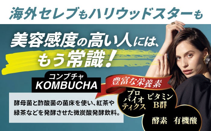 煎茶コンブチャ　fog-sencha オリジナルコンブチャ お茶 発酵飲料 腸活 白川町