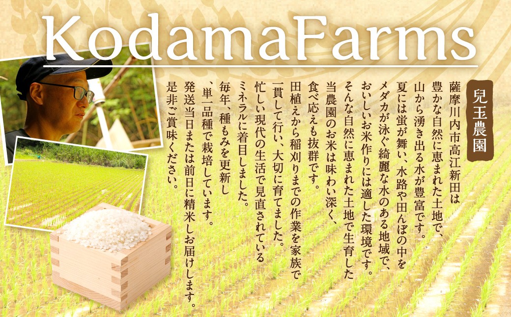 【新米先行予約】【KODAMAFARMS】なつほのか 5kg（計15kg）