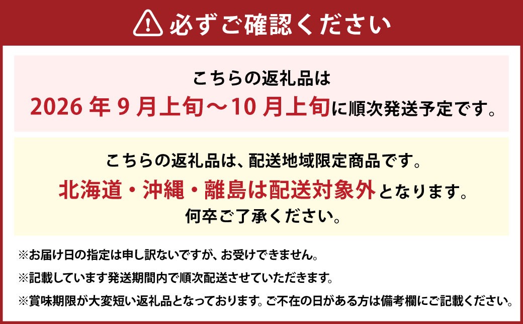 瀬戸ジャイアンツ2房（1房480g以上） 合計約1kg 化粧箱入り